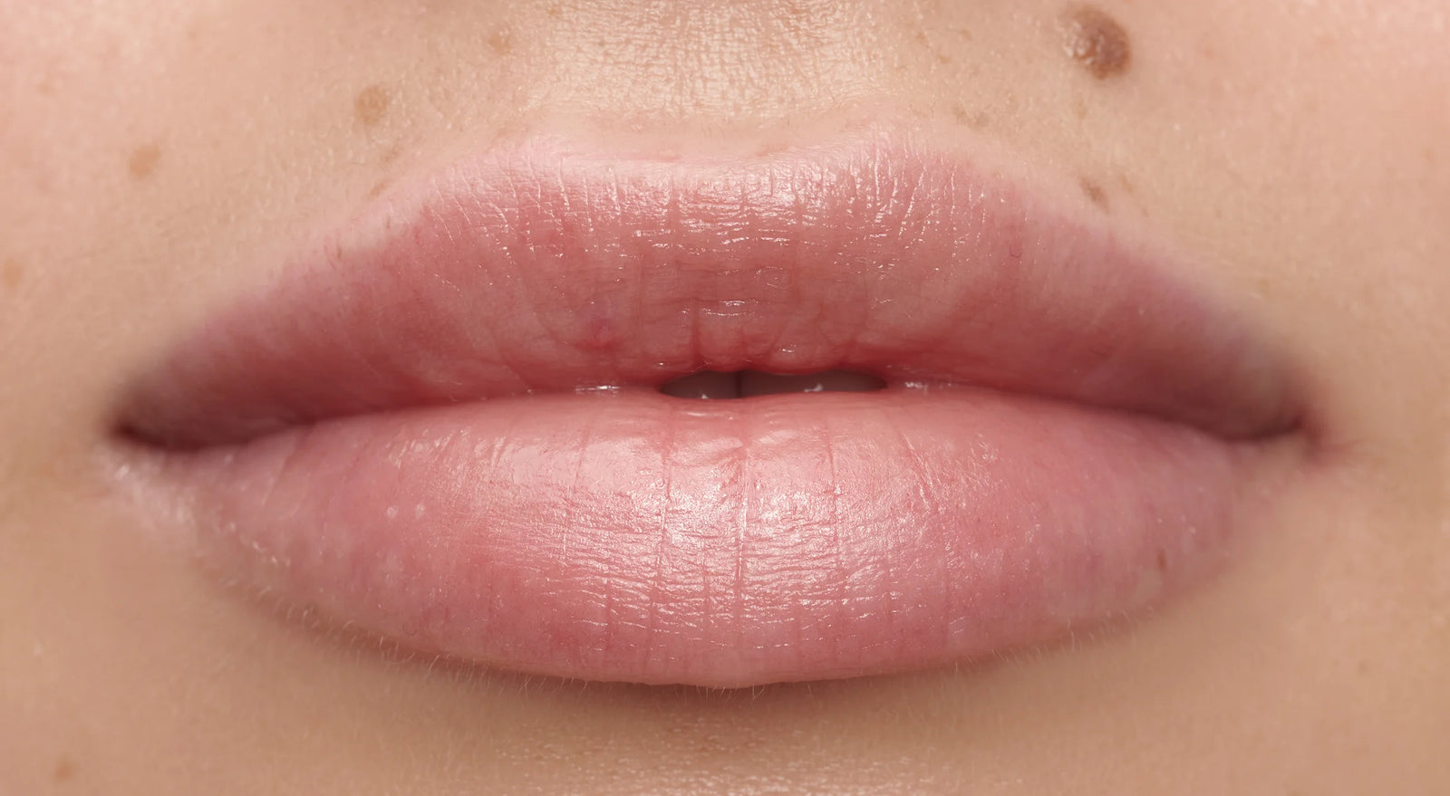 All in One Lip Tinted Plumping Oil